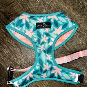 Lucy & Co harness